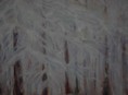 /album/galerie-de-photos-arbres/foret-enneigee-jpg1/